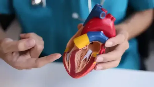 Artificial Heart Cost in India - LVAD & TAH Price Guide